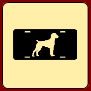 Vehicle Graphics